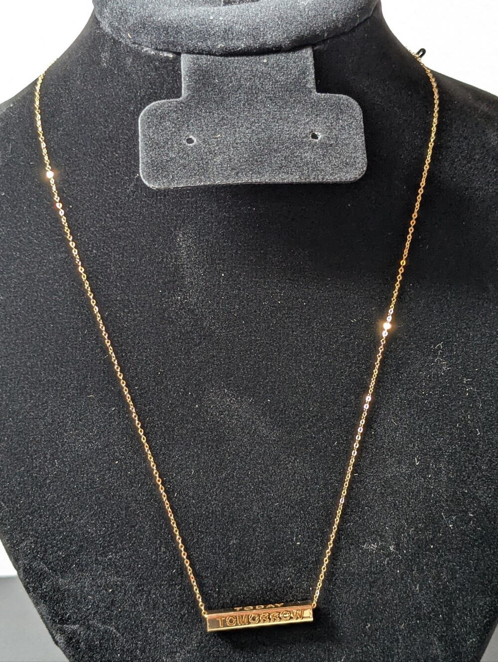 10K Gold Longevity 18" Necklace